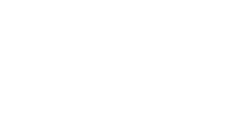 Altholzoptik